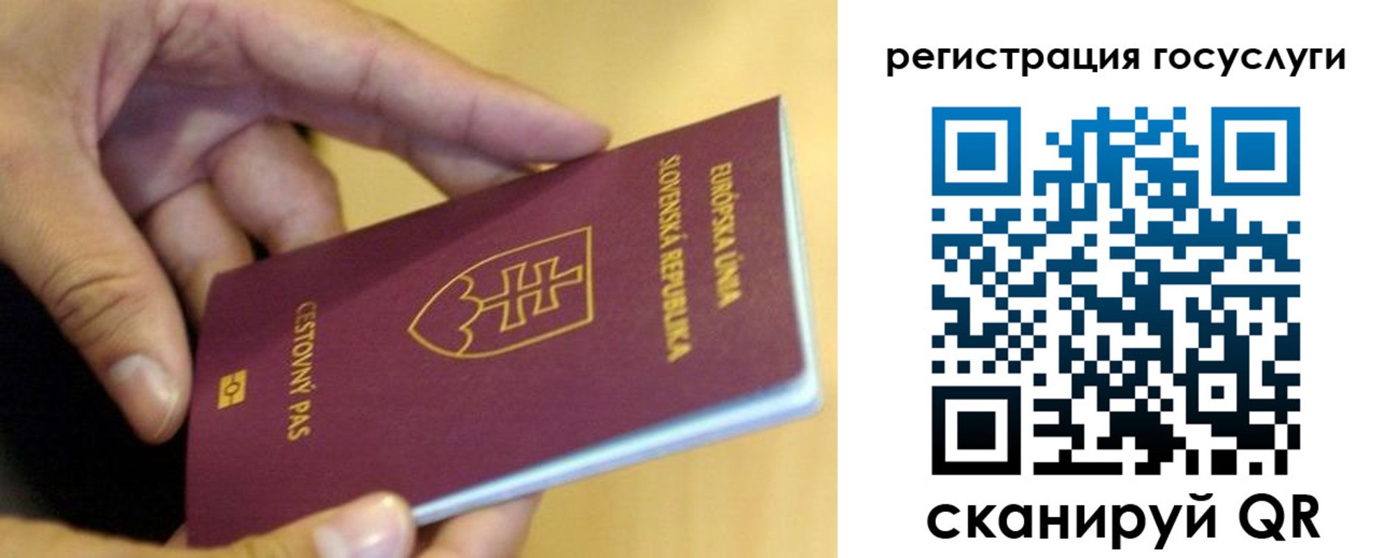 прописка в квартире в Зарайске